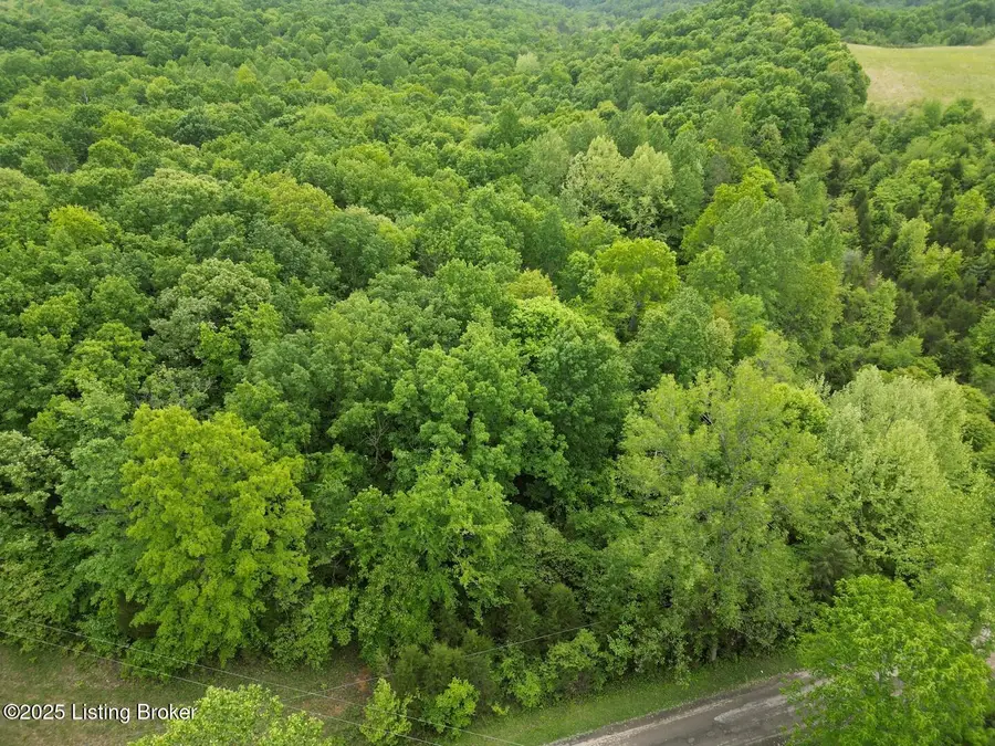 Lot 1 Duvall Rd, Caneyville, KY 42721 - Image #2