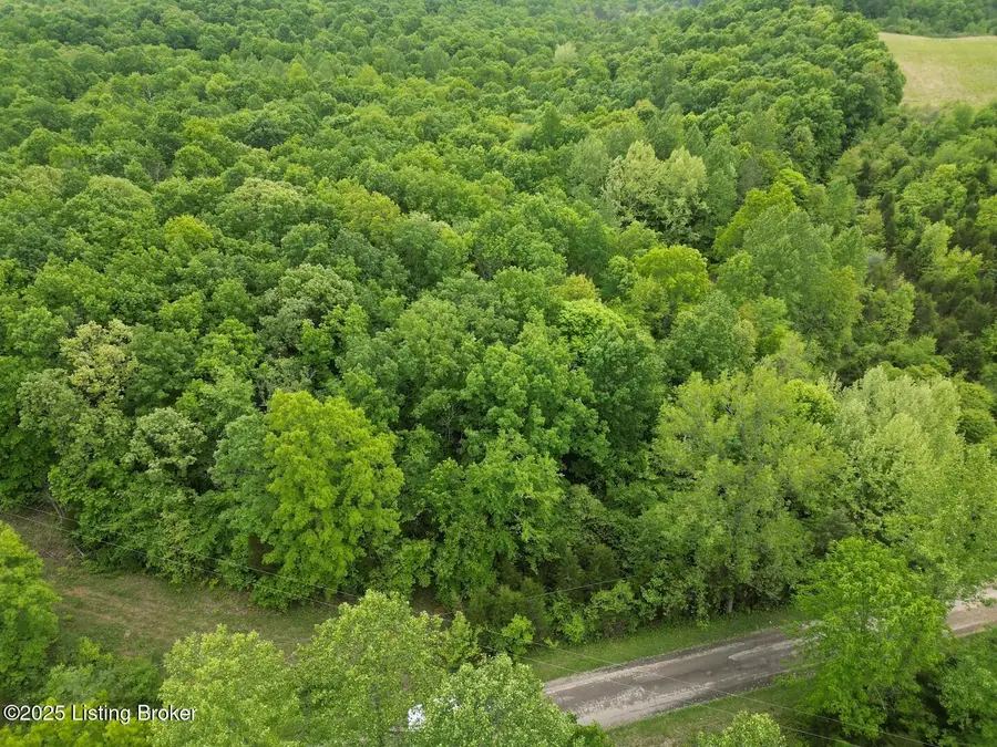 Lot 1 Duvall Rd, Caneyville, KY 42721 - Image #3