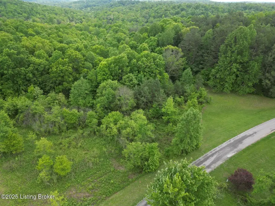 Lot 7 Duvall Rd, Caneyville, KY 42721 - Image #2