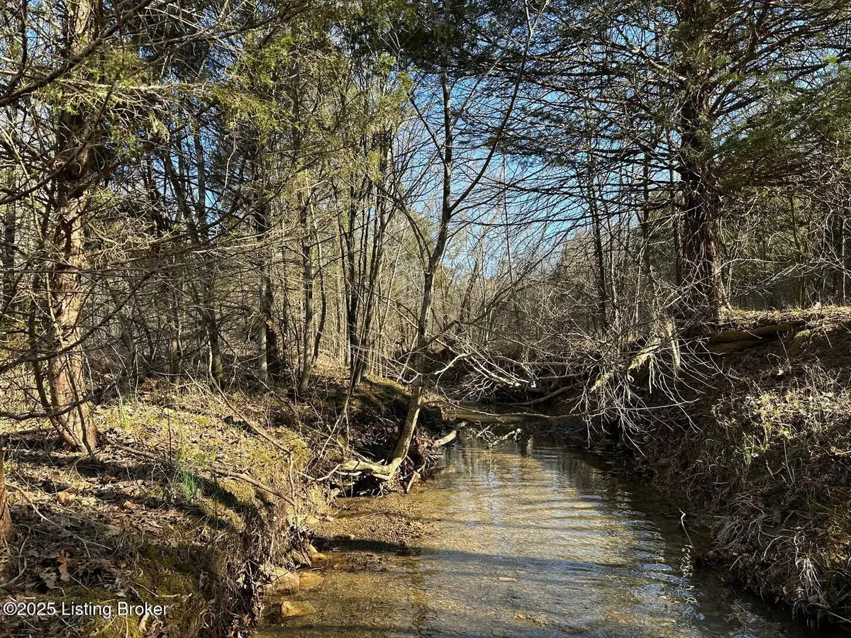 Lot 16 Duvall Rd, Caneyville, KY 42721 - Image #1