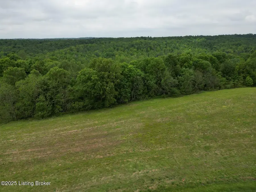 Lot 16 Duvall Rd, Caneyville, KY 42721 - Image #3