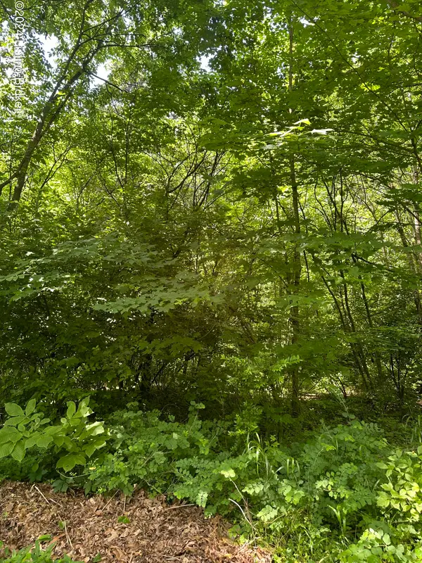 202 Lakeview Dr, New Haven, KY 40051