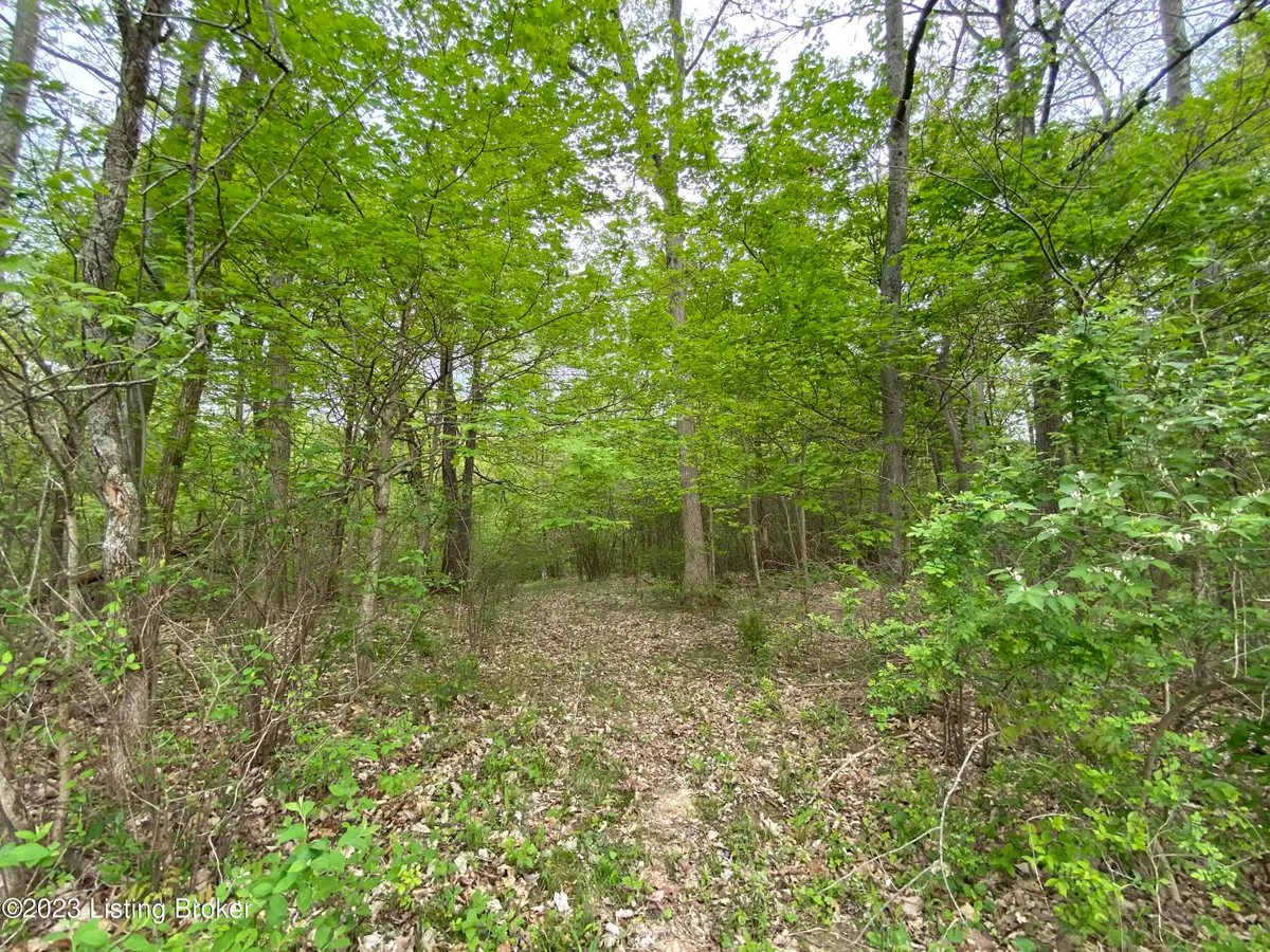 17810 Deertrace Ln, Fisherville, KY 40023 - Image #1