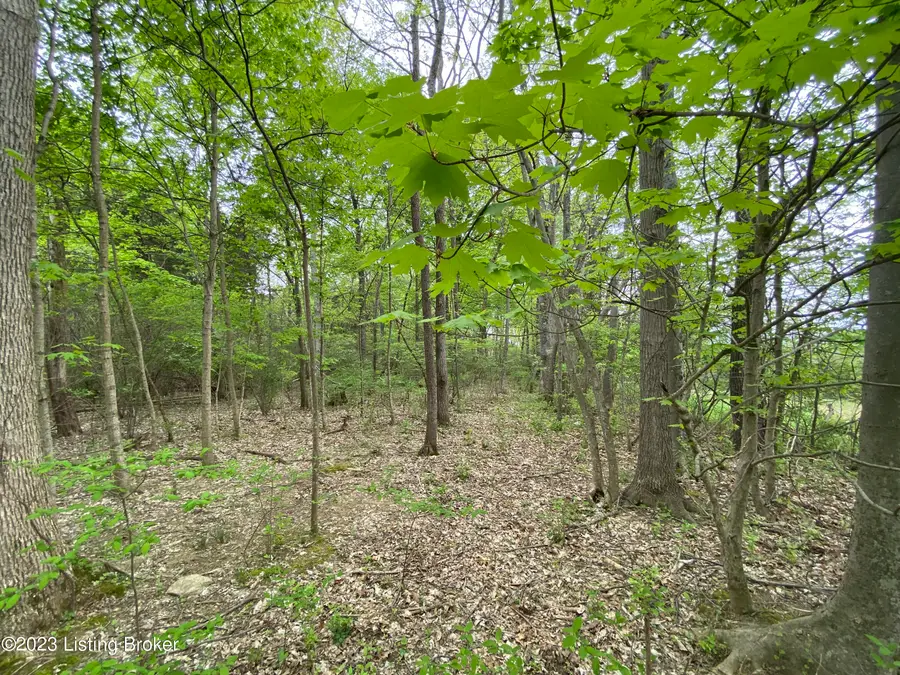 17810 Deertrace Ln, Fisherville, KY 40023 - Image #2