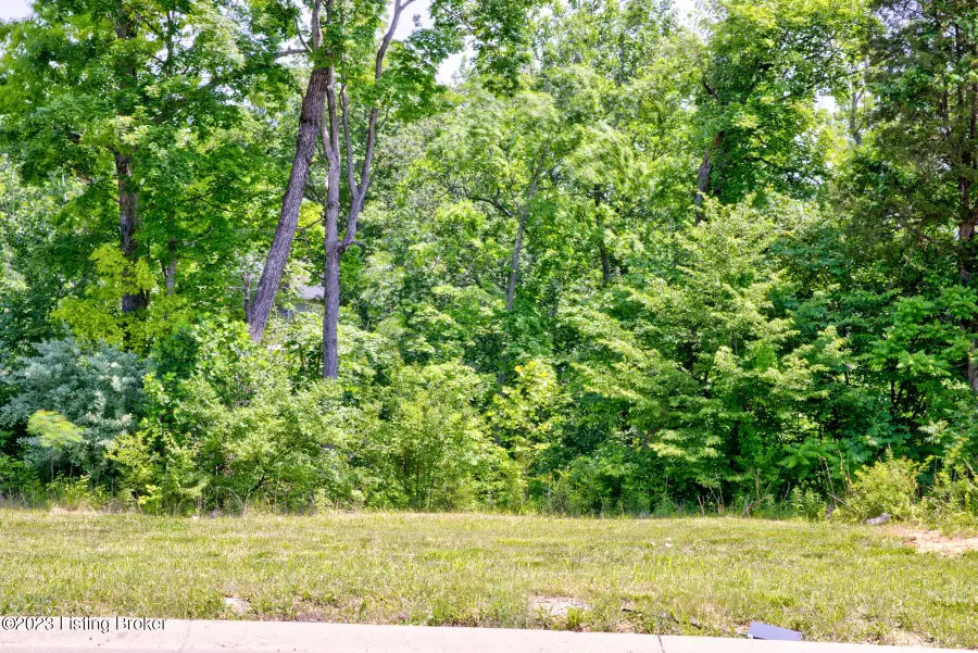 0 Hidden Falls Dr #Lot 73, Mount Washington, KY 40047 - Image #3