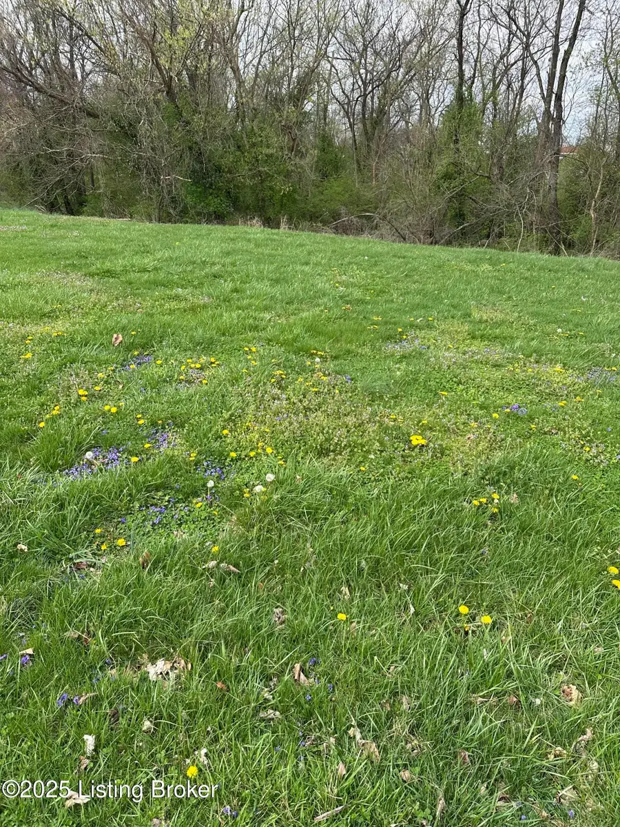 916 Woods Run Rd, Bardstown, KY 40004 - Image #3