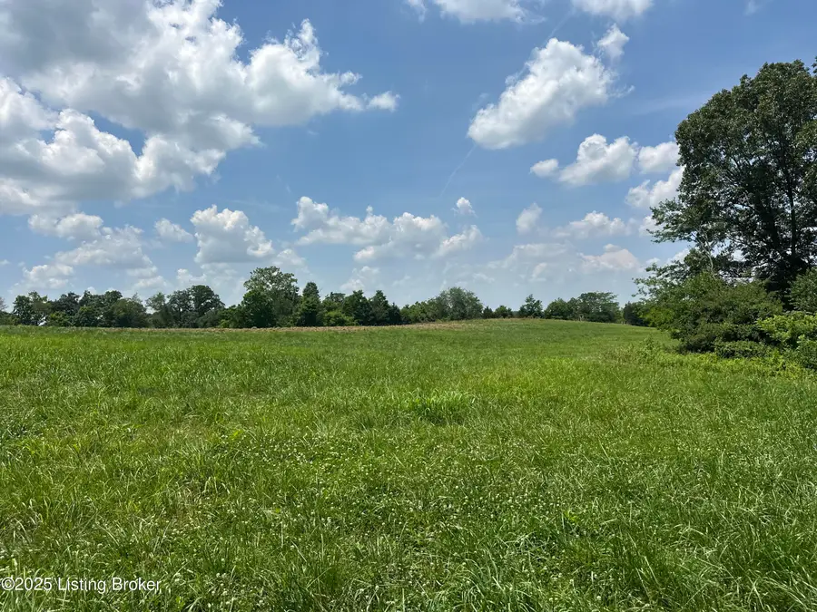 434 Mt. Pleasant Rd, Bedford, KY 40006 - Image #2