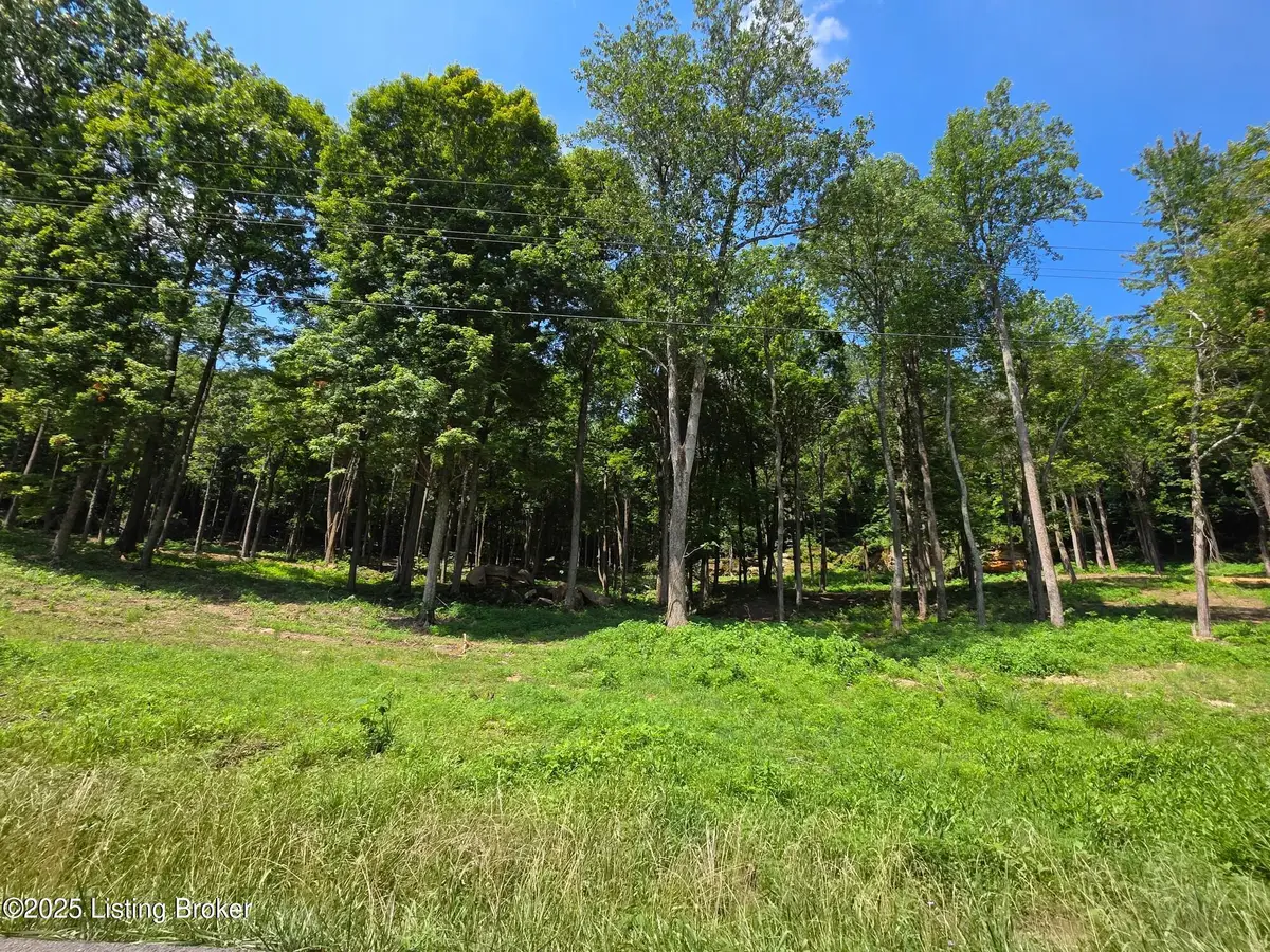 4 Cave Creek Rd, Falls Of Rough, KY 40119 - Image #1