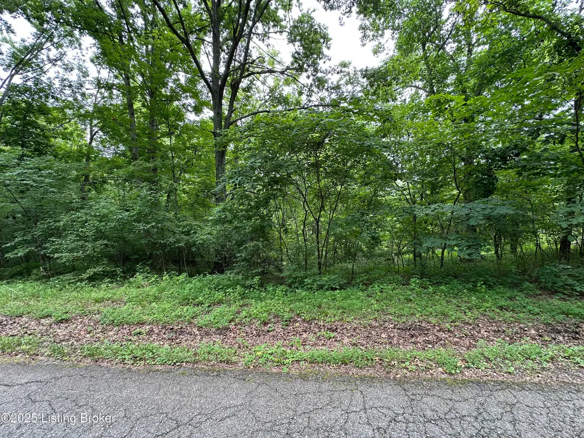 Lot 0 Lakeview Dr, Bloomfield, KY 40008 - Image #1