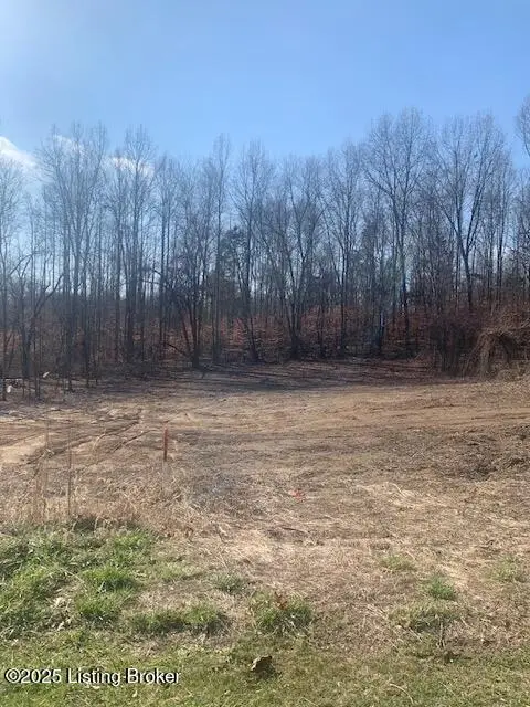 22 Hickory Ln, Russell Springs, KY 42642