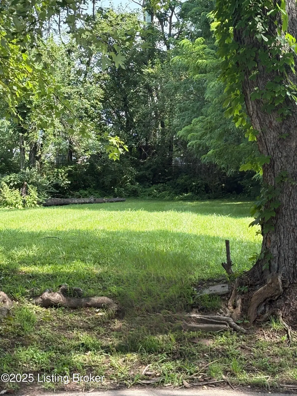 3111 W Jefferson St, Louisville, KY 40212 - Image #1