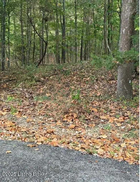 Lot 971 Penny Royal Ln, Brandenburg, KY 40108 - Image #2