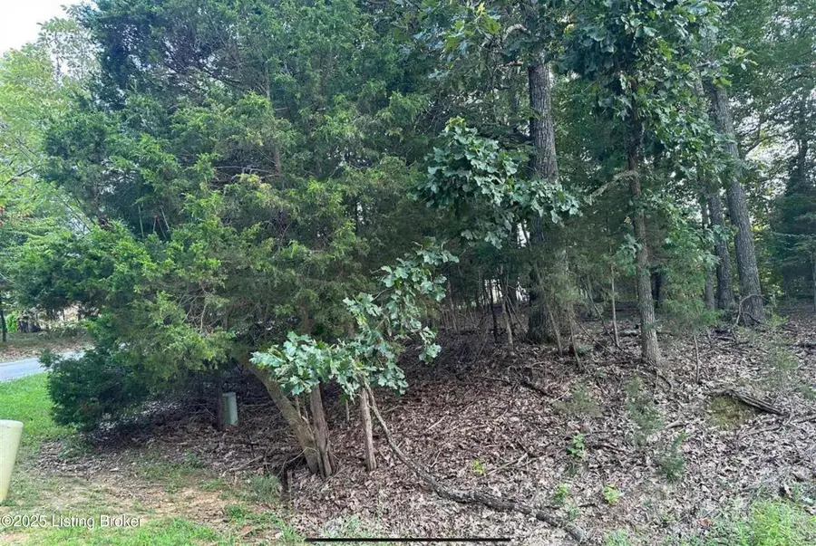 539 Strawberry Hill Drive Dr, Brandenburg, KY 40108 - Image #3