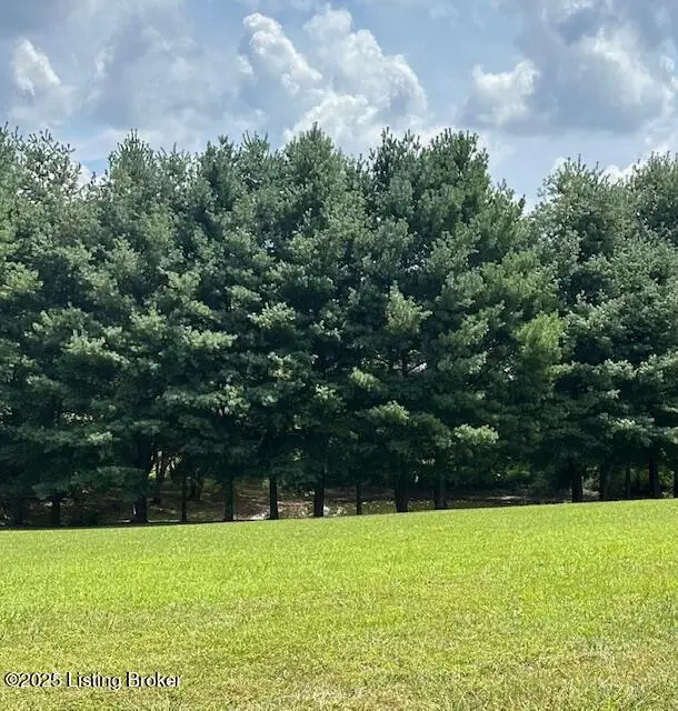 3 Hodgenville Rd, Campbellsville, KY 42718 - Image #3