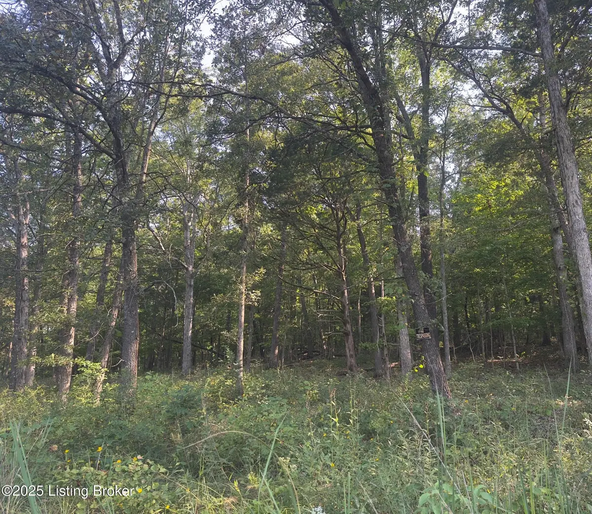 13600 Grayson Springs Rd, Clarkson, KY 42726 - Image #1