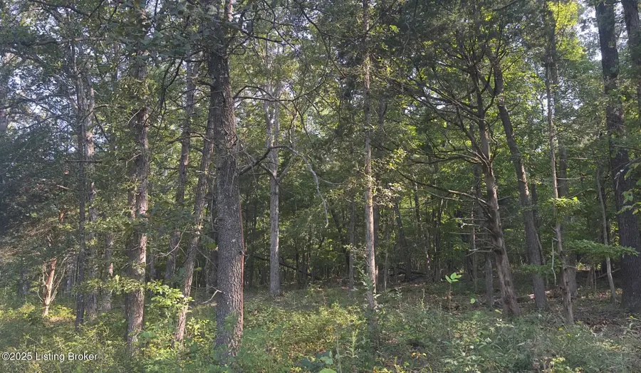 13600 Grayson Springs Rd, Clarkson, KY 42726 - Image #3