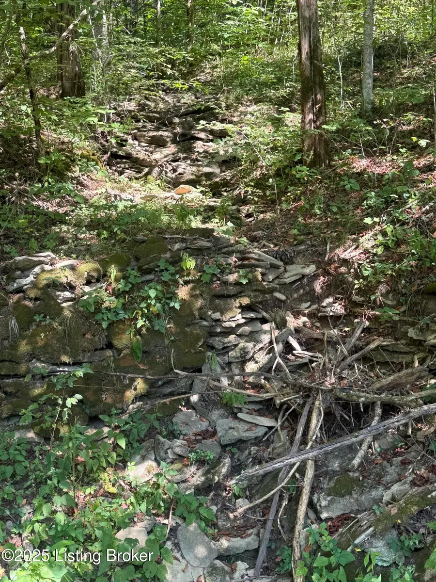 1590 Crooked Creek Rd, Lawrenceburg, KY 40342 - Image #2