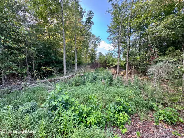 45 Clear Creek Dr, Boston, KY 40107