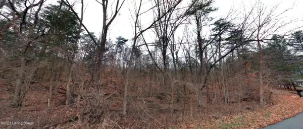 149 Doewood Ln, Coxs Creek, KY 40013