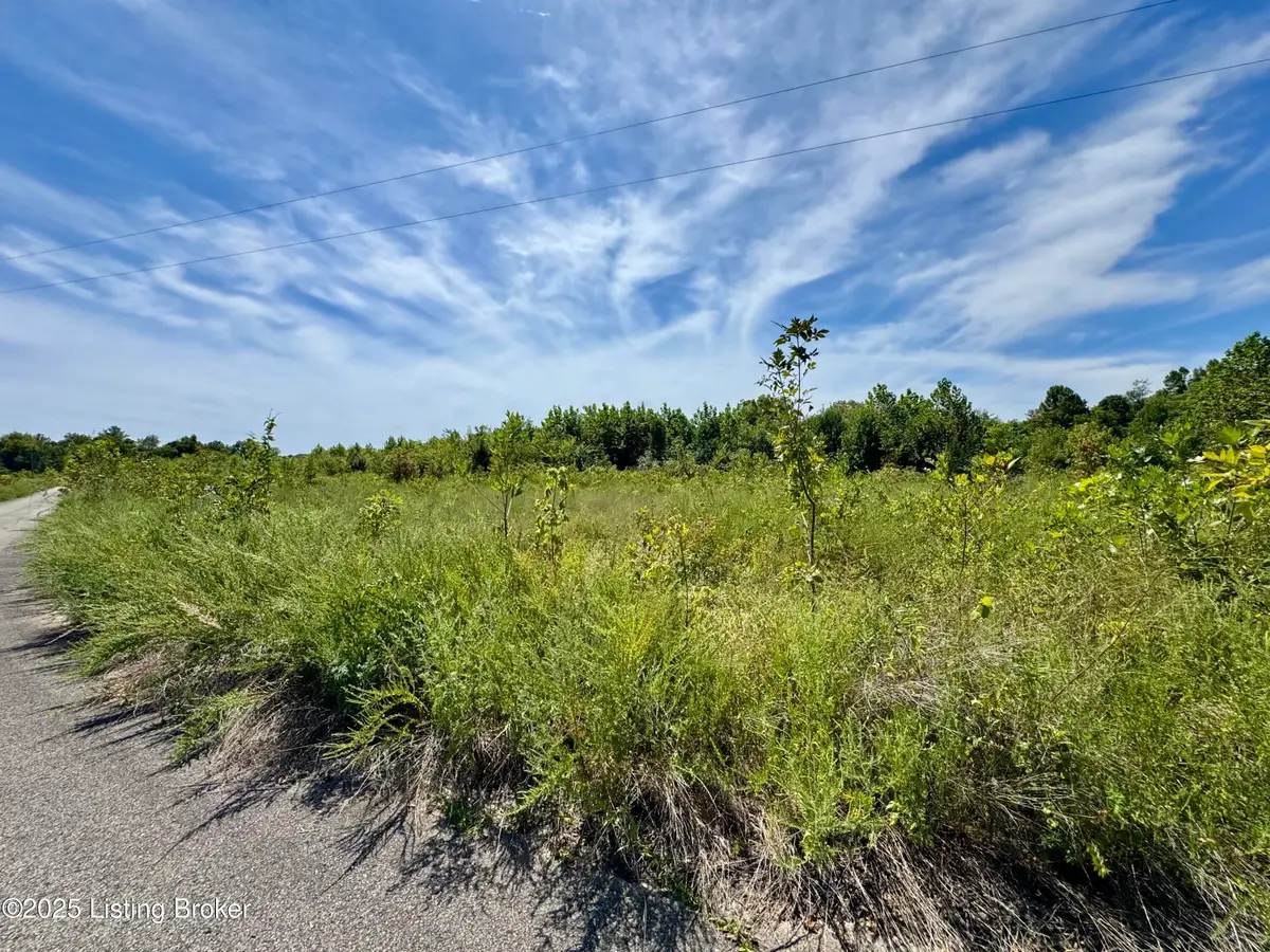 Lot 22 Riverboat Cir, Falls Of Rough, KY 40119 - Image #1