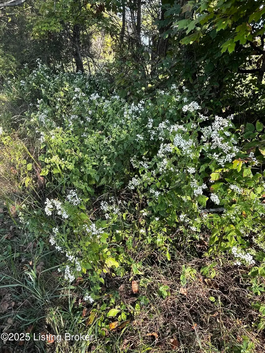 4643 #2&3 Zoneton Rd, Shepherdsville, KY 40165 - Image #3