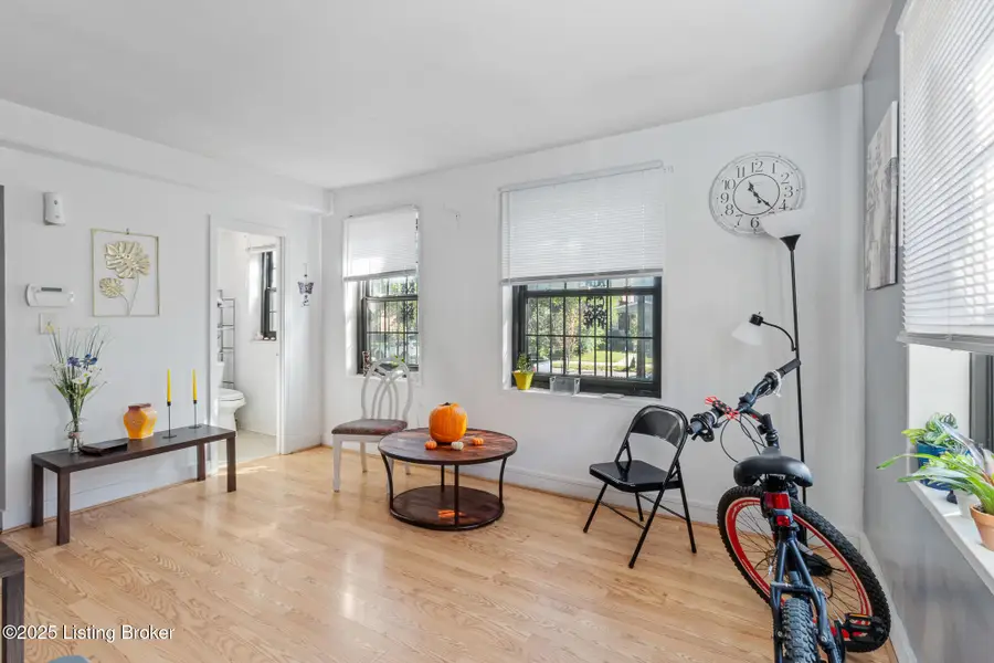 12 College Ct, Louisville, KY 40203 - Image #2