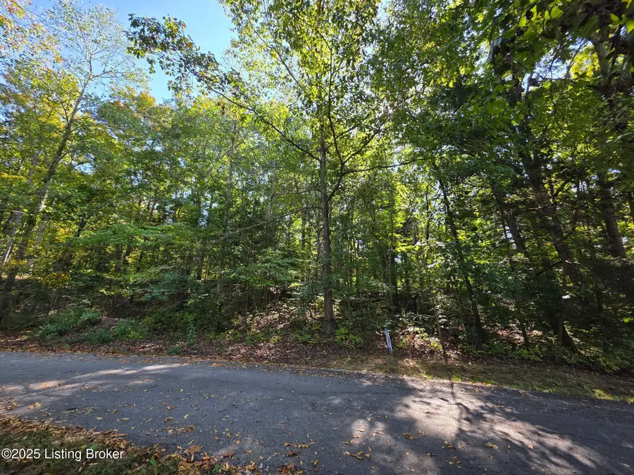 35 Parkview Ln, Falls Of Rough, KY 40119 - Image #3