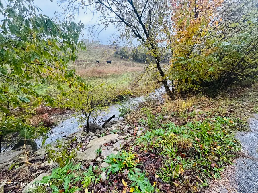 Tract 2&3 Bearwallow Rd, Springfield, KY 40069 - Image #3