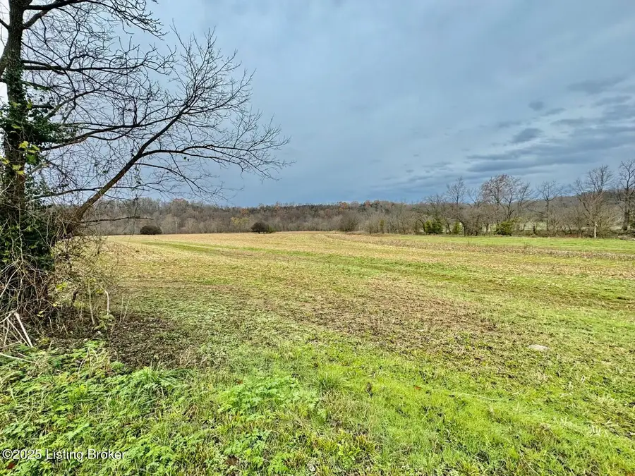 975 Grundy Home Rd, Springfield, KY 40069 - Image #2