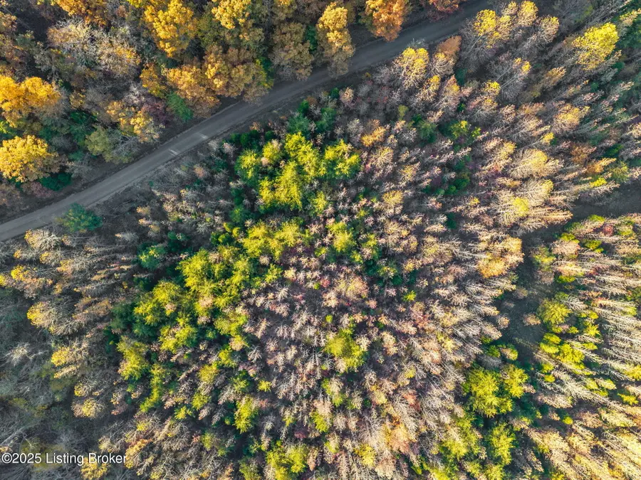 0 Beckye Ln, Hanson, KY 42413 - Image #3