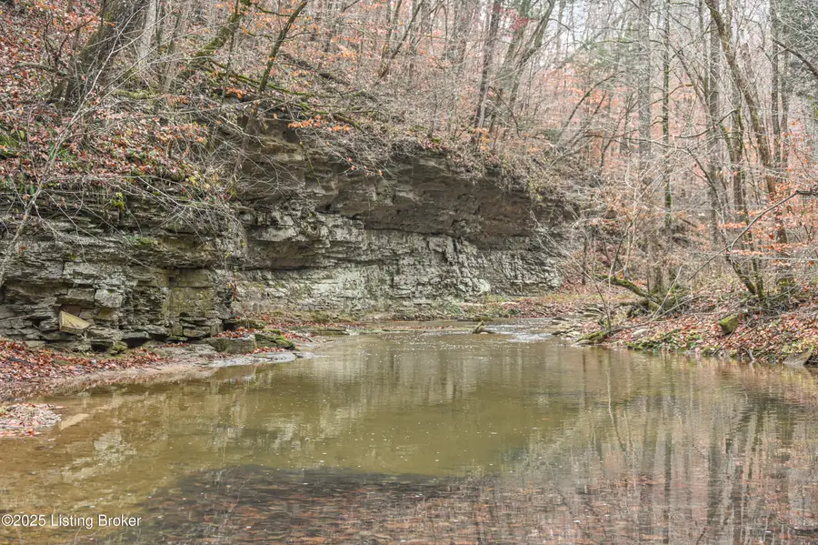 3095 Herbert Howell Rd, Hodgenville, KY 42748 - Image #2