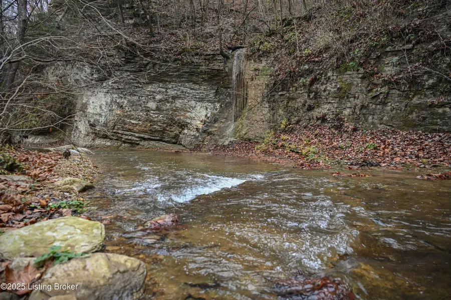 3095 Herbert Howell Rd, Hodgenville, KY 42748 - Image #3