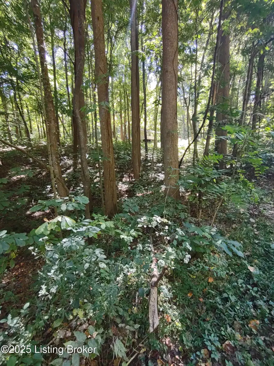 71 Bullfrog Trail, Scottsville, KY 42164 - Image #2