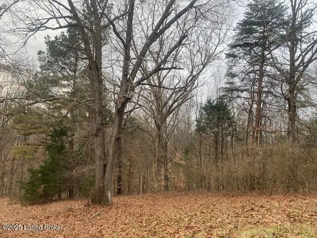 2815 Clarktown Rd, New Haven, KY 40051 - Image #2