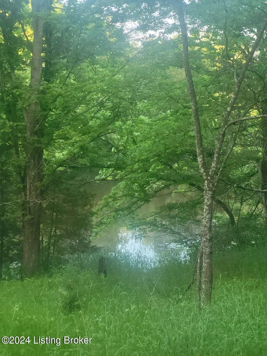 4901 Taylorsville Lake Rd, Fisherville, KY 40023 - Image #2