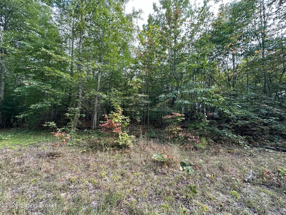 16 lots Cherokee Trail, Nancy, KY 42544 - Image #1