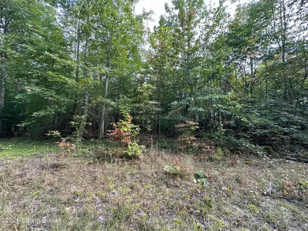 16 lots Cherokee Trail, Nancy, KY 42544