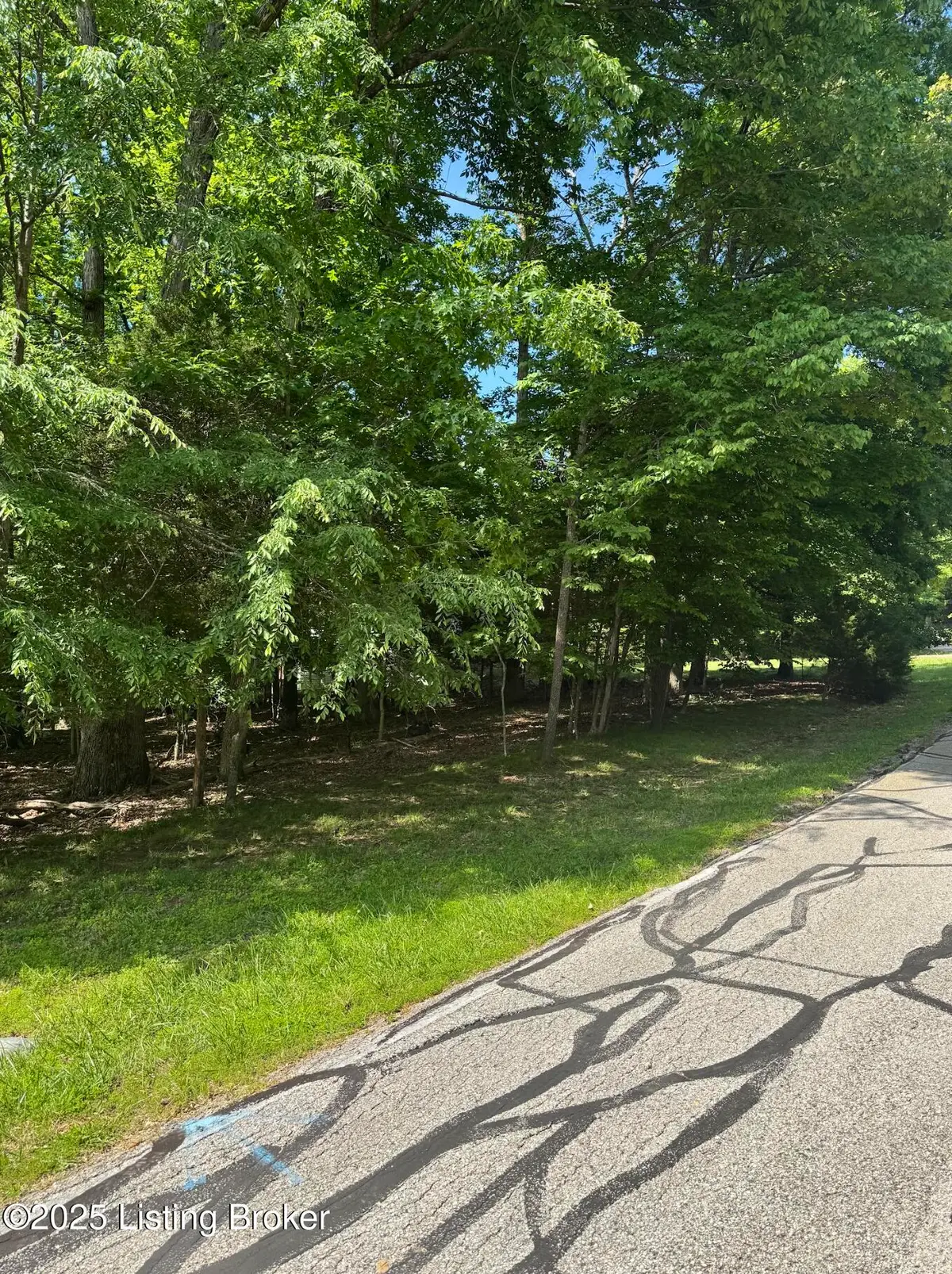 Lot 246 Pine Point Dr, Brandenburg, KY 40108 - Image #1