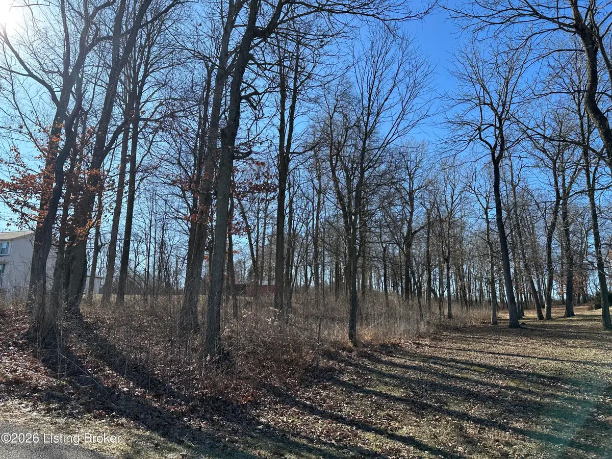 14 Buck Knobs Rd, Ekron, KY 40117 - Image #1