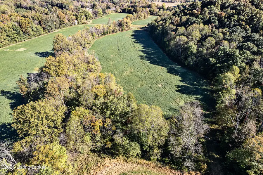 5445 Nelsonville Rd, Boston, KY 40107 - Image #3