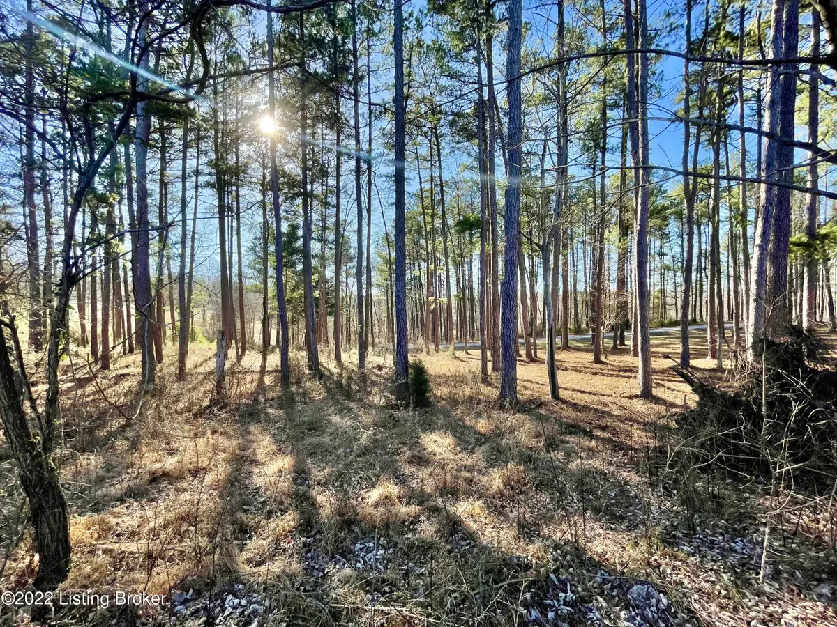 0 Marina Fountain Ln, Falls Of Rough, KY 40119 - #1