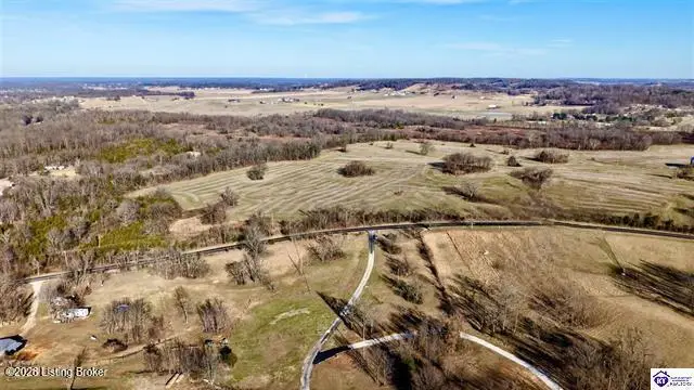 Lot 4a Guston Rd, Guston, KY 40142 - #3