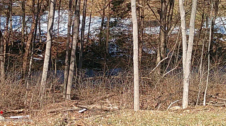 402 Meadowview Ct, Bardstown, KY 40004 - #2