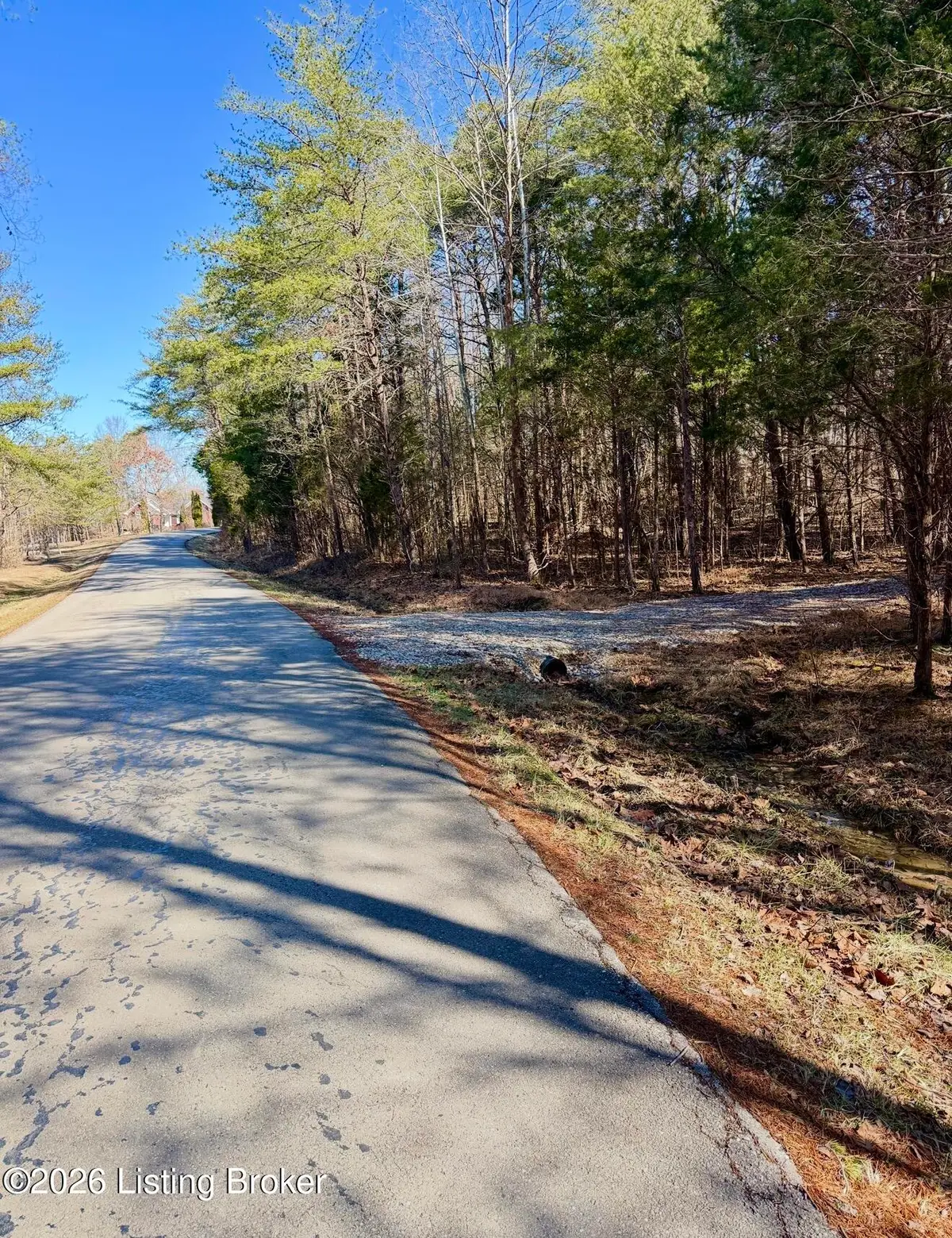 405 Robbin Ln, Cub Run, KY 42729 - #1