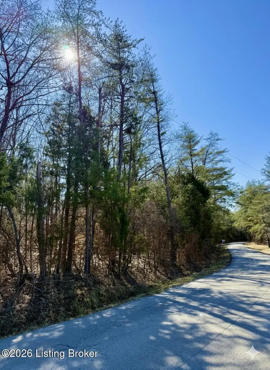 405 Robbin Ln, Cub Run, KY 42729 - #3