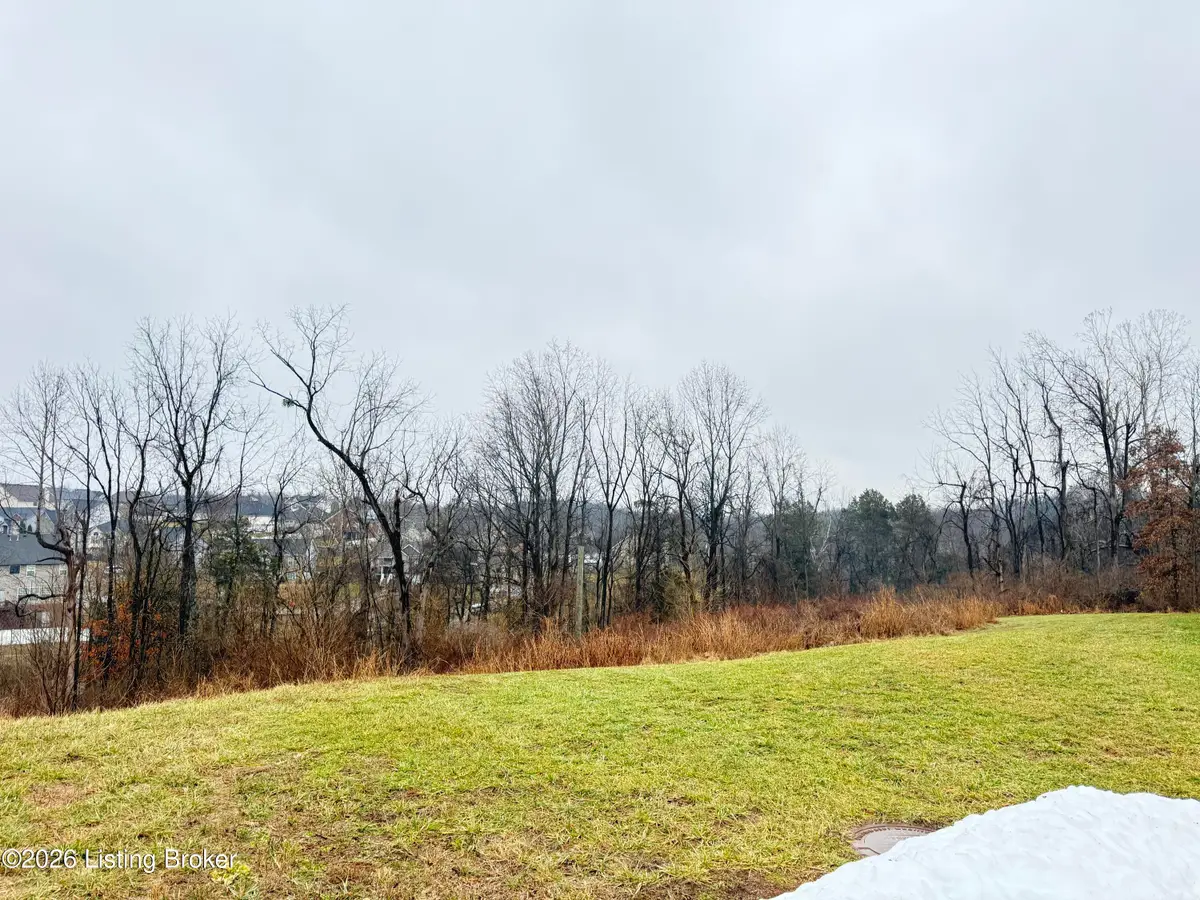 6306 Pheasant Hill Ct, Louisville, KY 40229 - #1