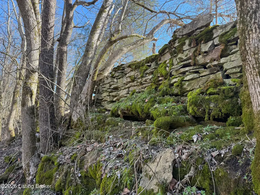 1255 Mike Brown Ln, Taylorsville, KY 40071 - #3