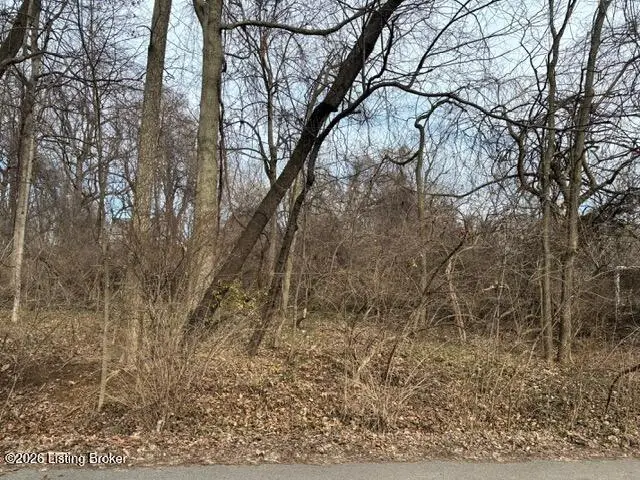 843 Fountain Ave, Louisville, KY 40222 - #3