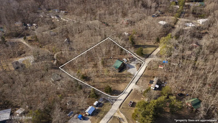 11 Arrowhead Dr, Cub Run, KY 42729 - #3