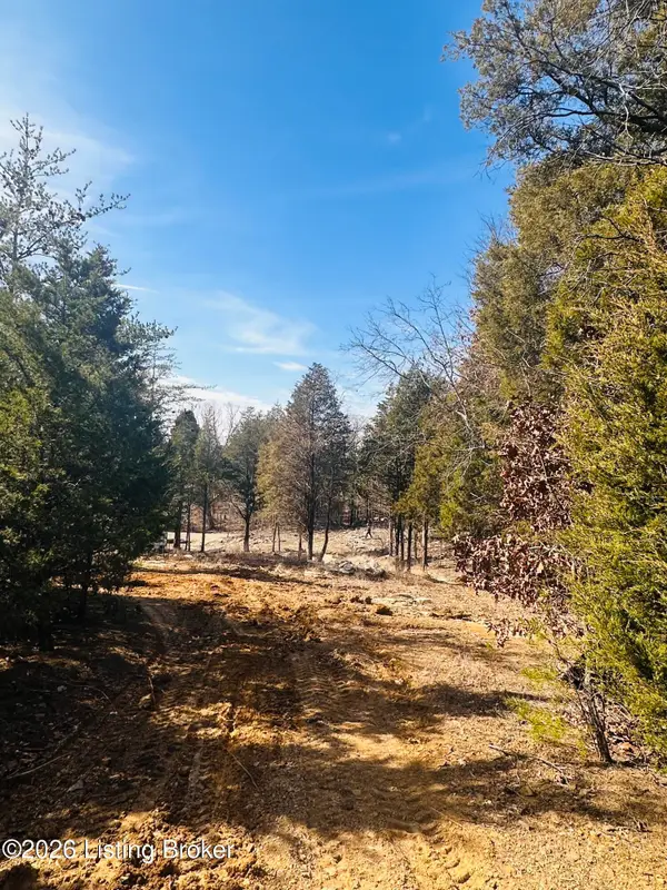 350 Cave Creek Rd, Falls Of Rough, KY 40119